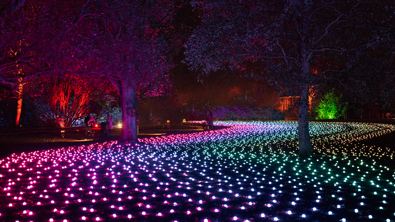 lightscape-winter-melbourne